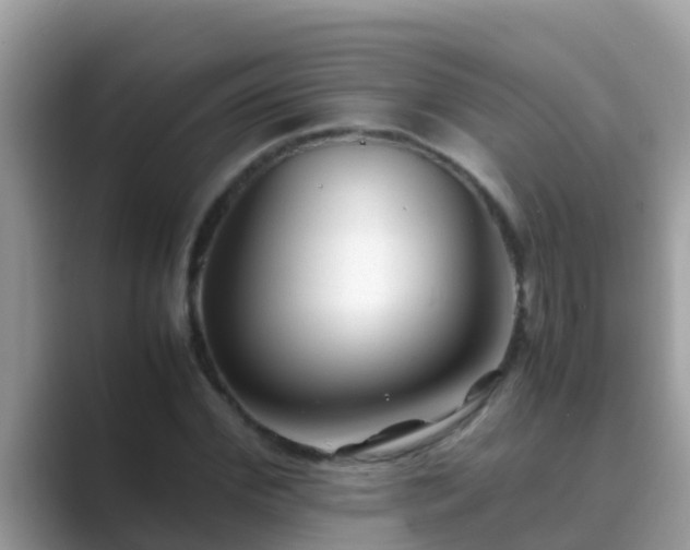 X0000089890972200707051225