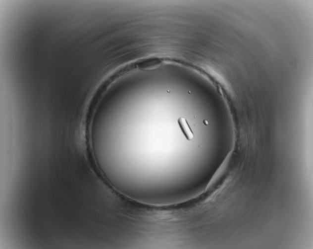 X0000089890976200707051225