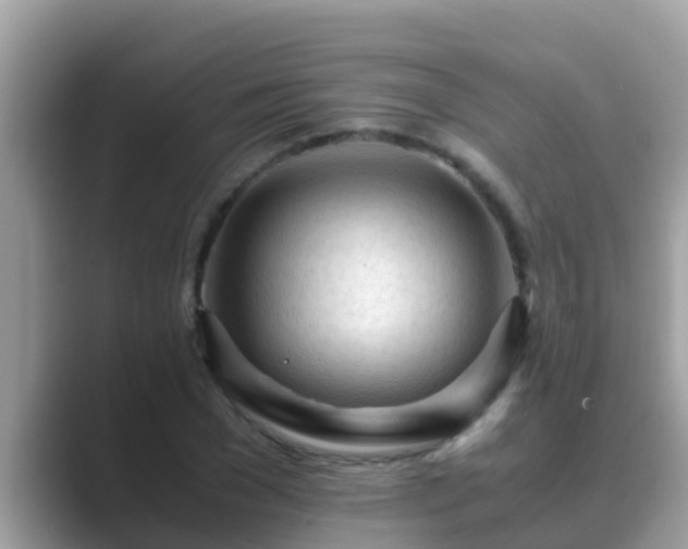 X0000089890977200707051225