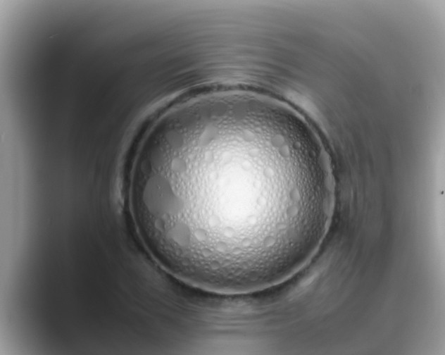 X0000089890979200707051225