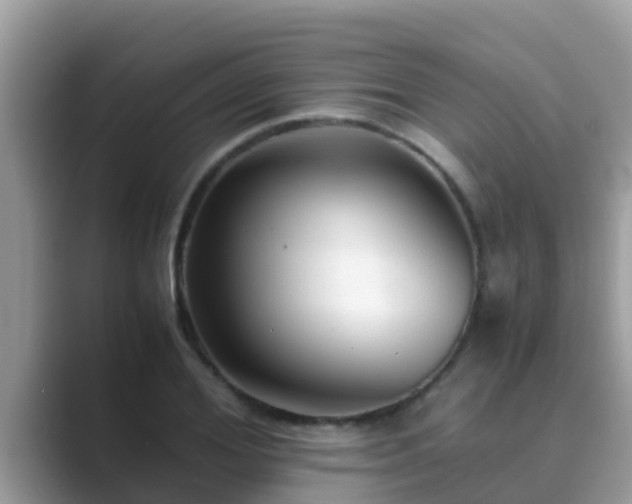 X0000089890980200707051225