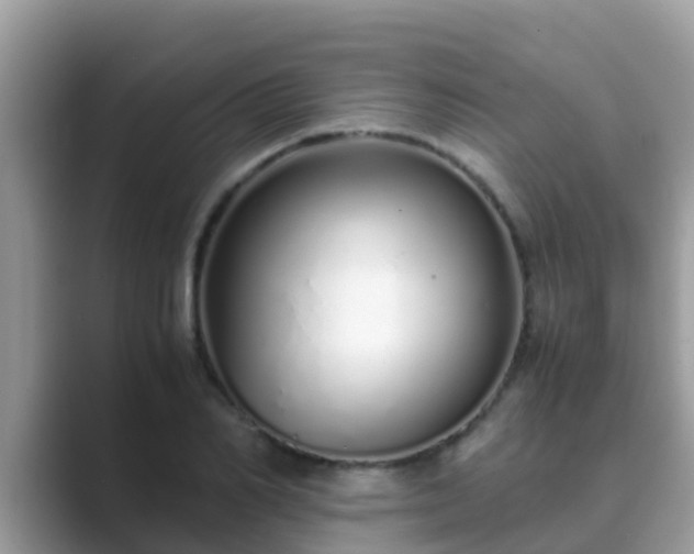 X0000089890982200707051225