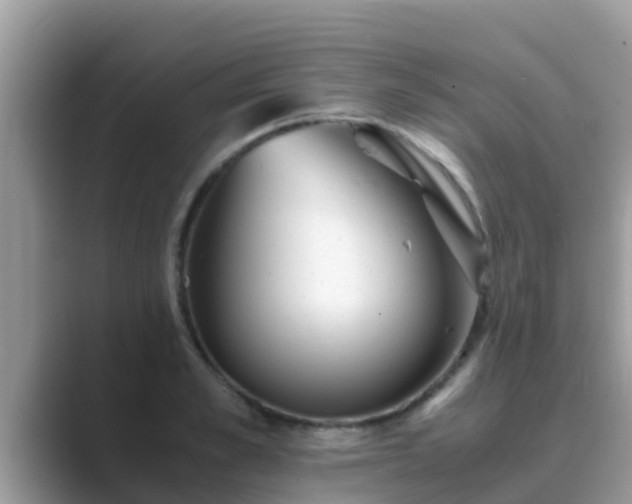 X0000089890989200707051225