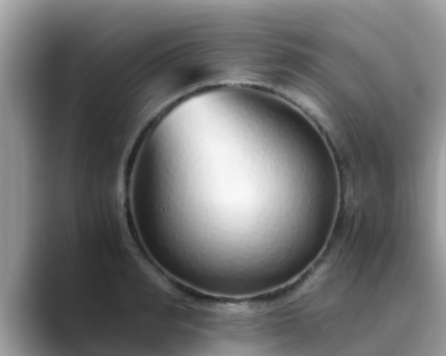 X0000089890990200707051225