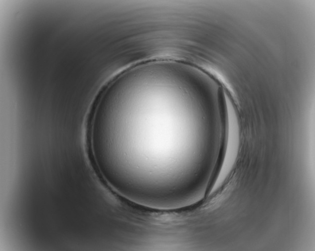 X0000089890991200707051225