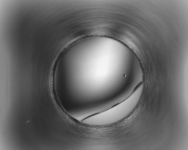 X0000089890992200707051225