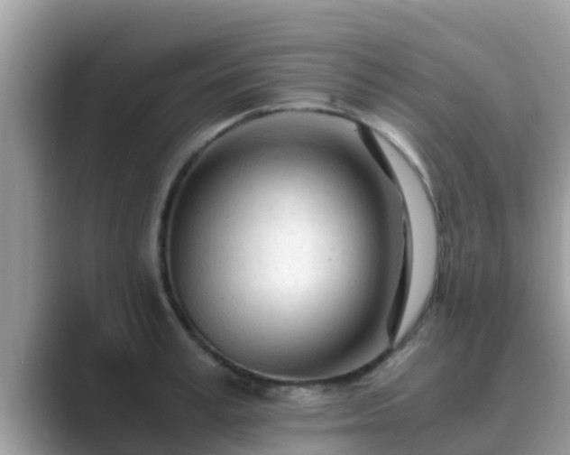 X0000089890995200707051225