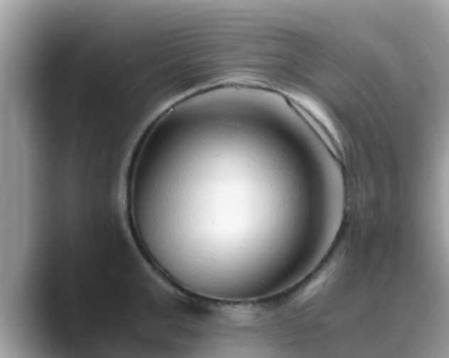 X0000089890999200707051225