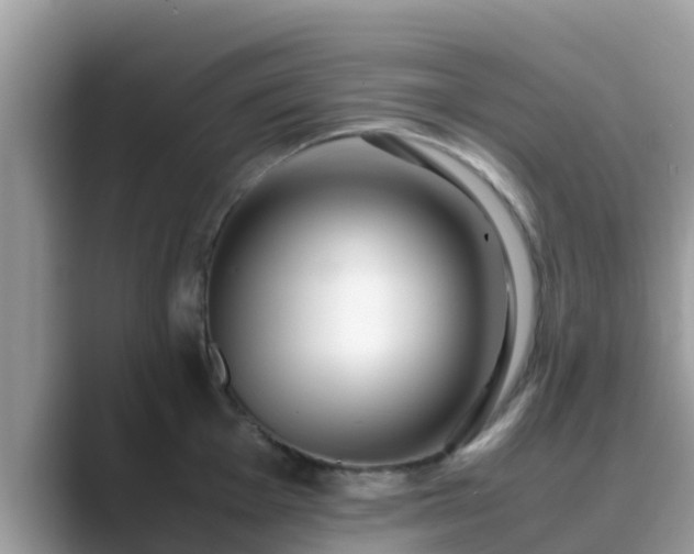 X0000089891001200707051225