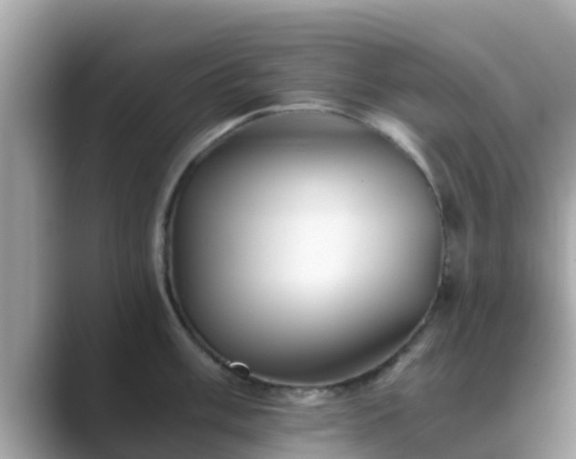 X0000089891003200707051225