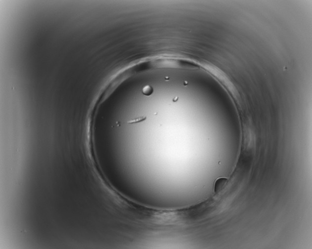 X0000089891006200707051225