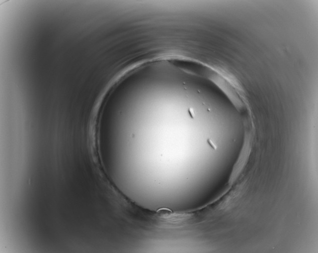 X0000089891008200707051225