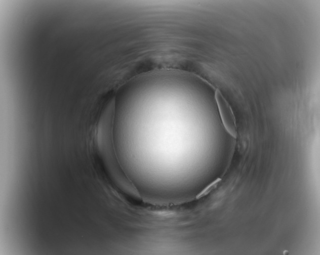 X0000089891010200707051224