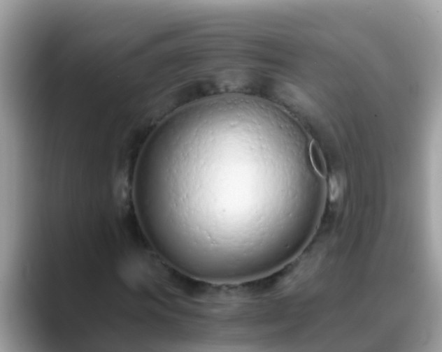 X0000089891011200707051224