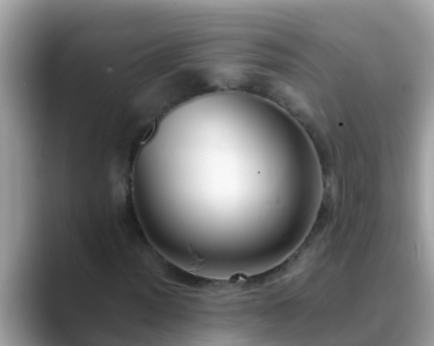 X0000089891012200707051224