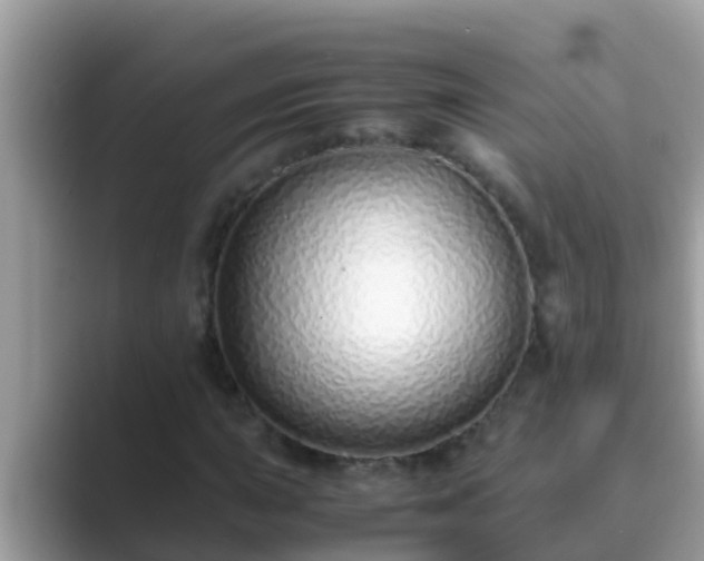 X0000089891015200707051224