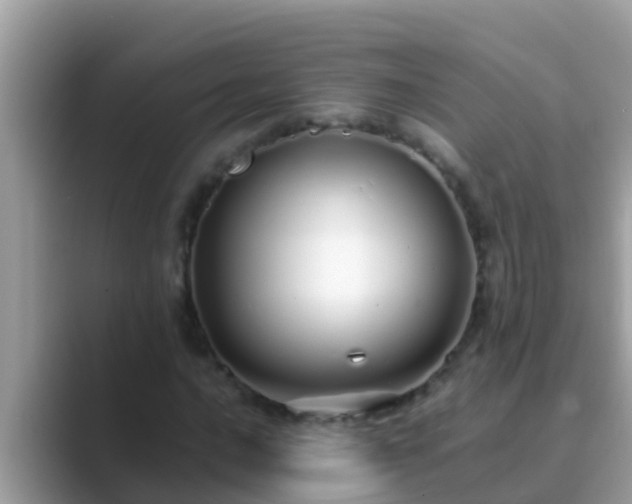 X0000089891016200707051224