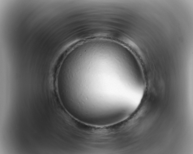 X0000089891019200707051224