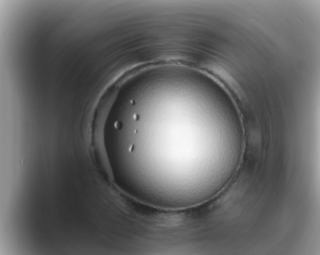 X0000089891023200707051224