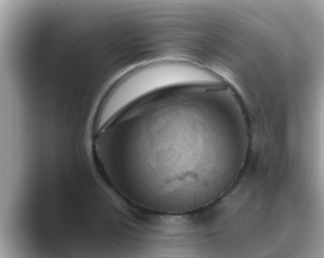 X0000089891024200707051224