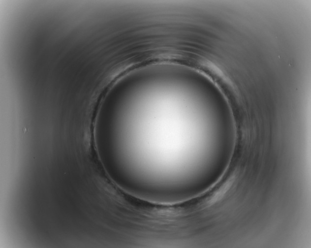 X0000089891025200707051224