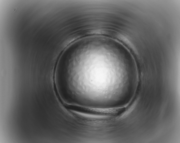 X0000089891033200707051224