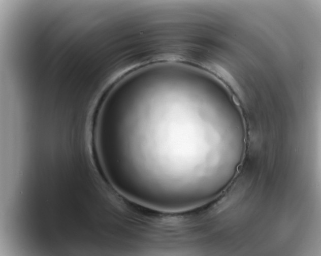 X0000089891035200707051224