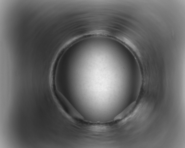 X0000089891037200707051224