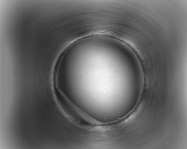 X0000089891038200707051224