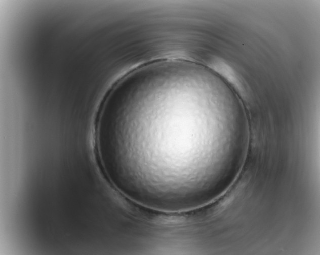 X0000089891040200707051225