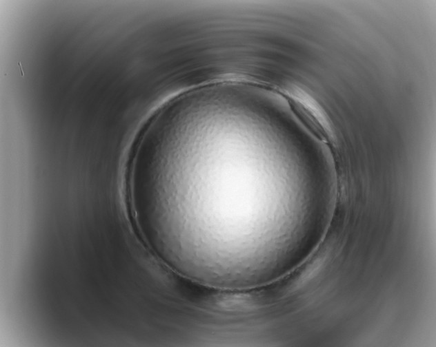 X0000089891043200707051225