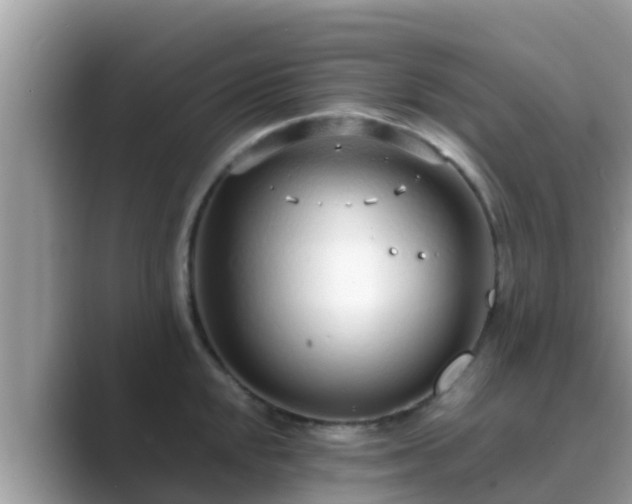 X0000089891048200707051225