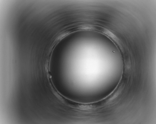 X0000089891049200707051225