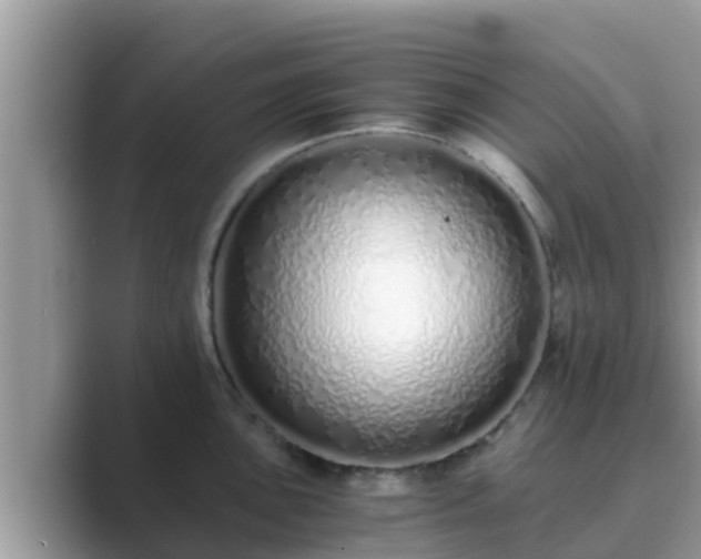 X0000089891051200707051225