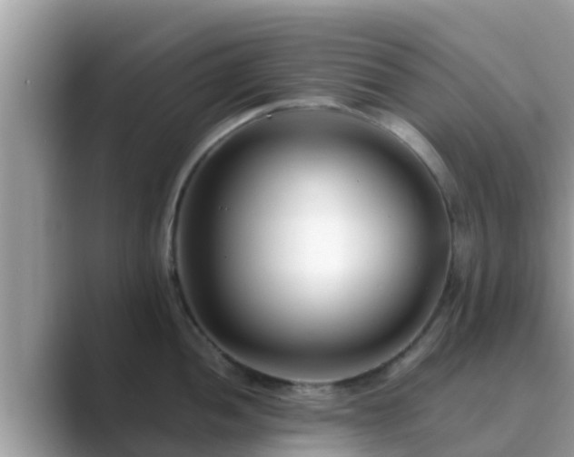 X0000089891052200707051225