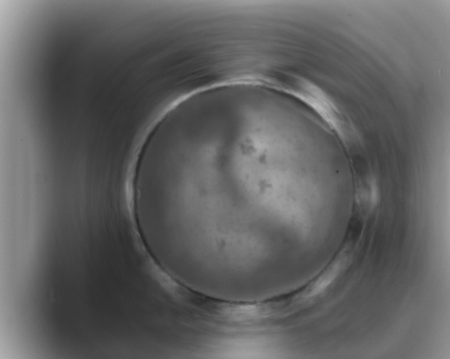 X0000089891054200707051225