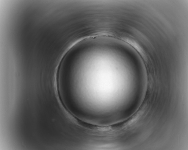 X0000089891055200707051225