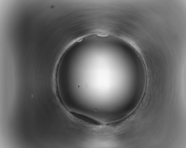 X0000089891056200707051225