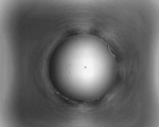 X0000089891057200707051224