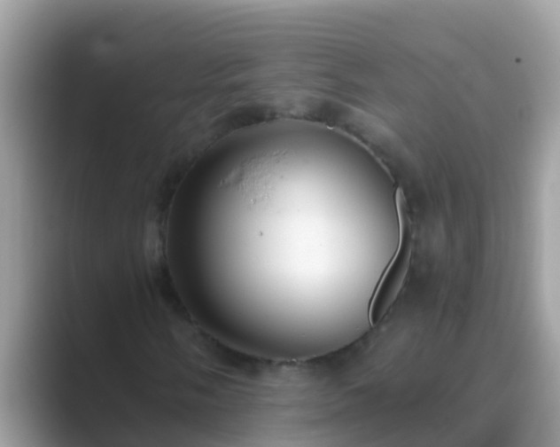 X0000089891058200707051224