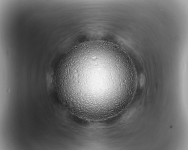 X0000089891059200707051224