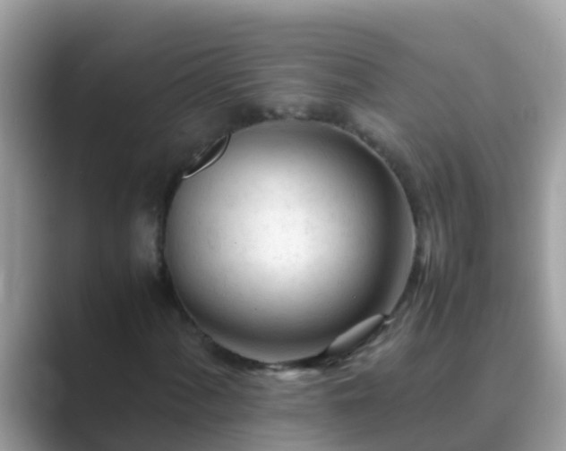 X0000089891060200707051224