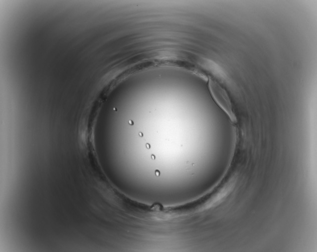 X0000089891065200707051224