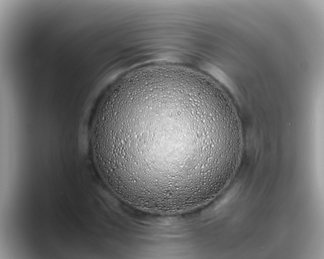 X0000089891067200707051224