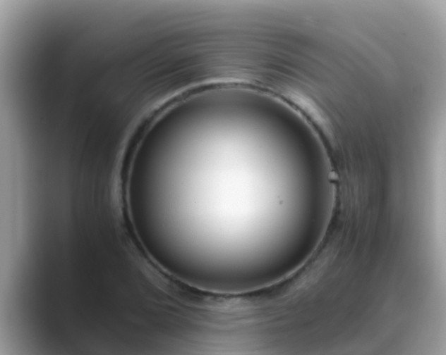 X0000089891072200707051224