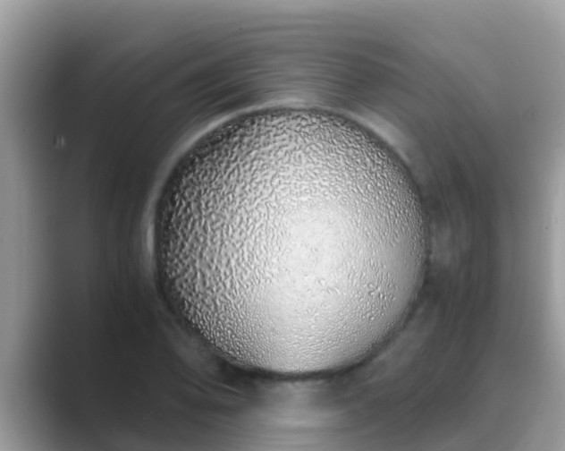 X0000089891078200707051224