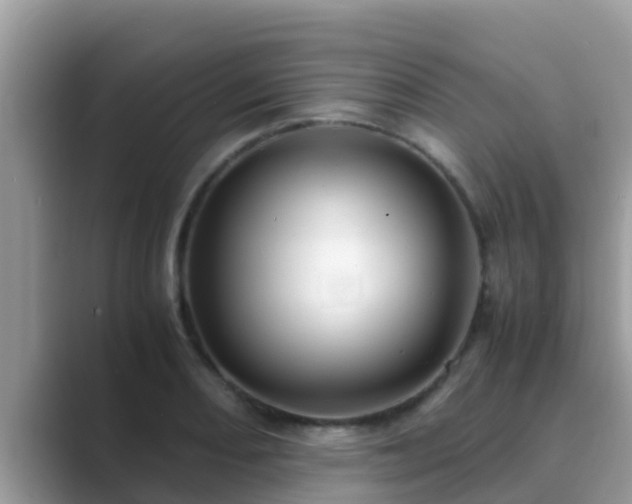 X0000089891082200707051224