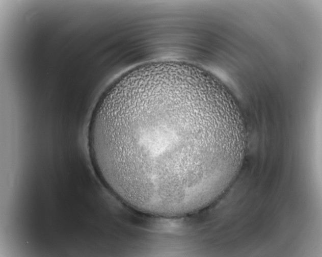 X0000089891086200707051224
