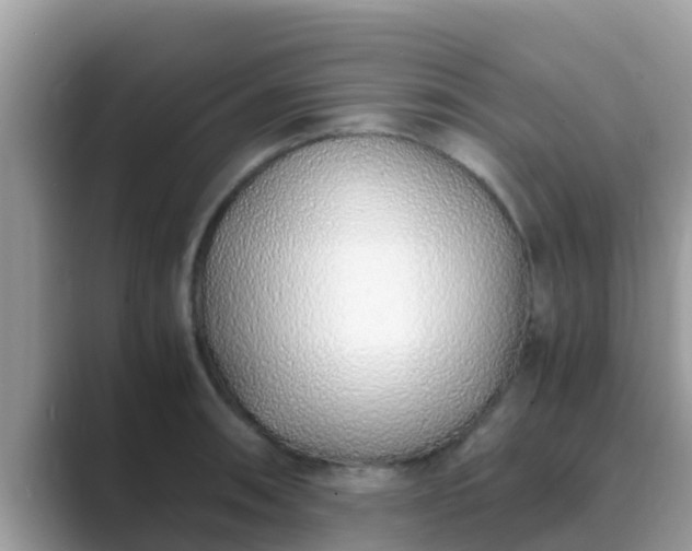 X0000089891090200707051224