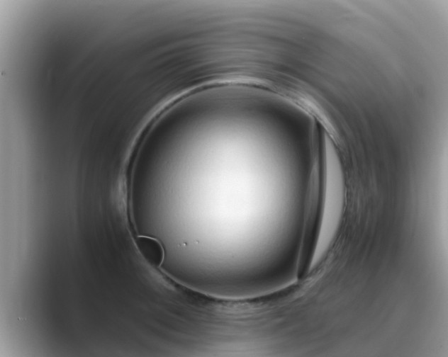 X0000089891092200707051224